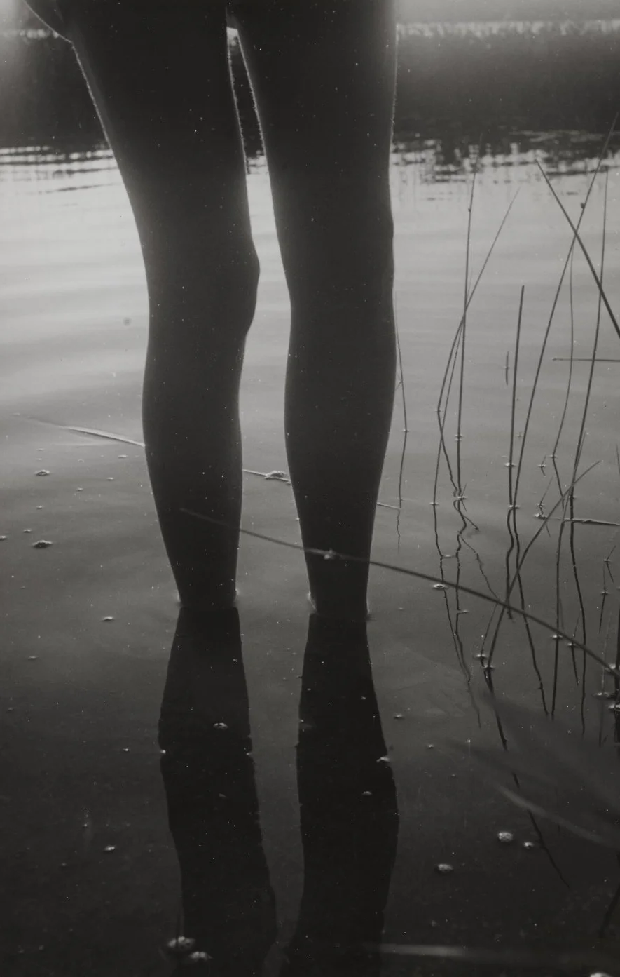Man nature 82.65.353 PS1 — Fine Art
