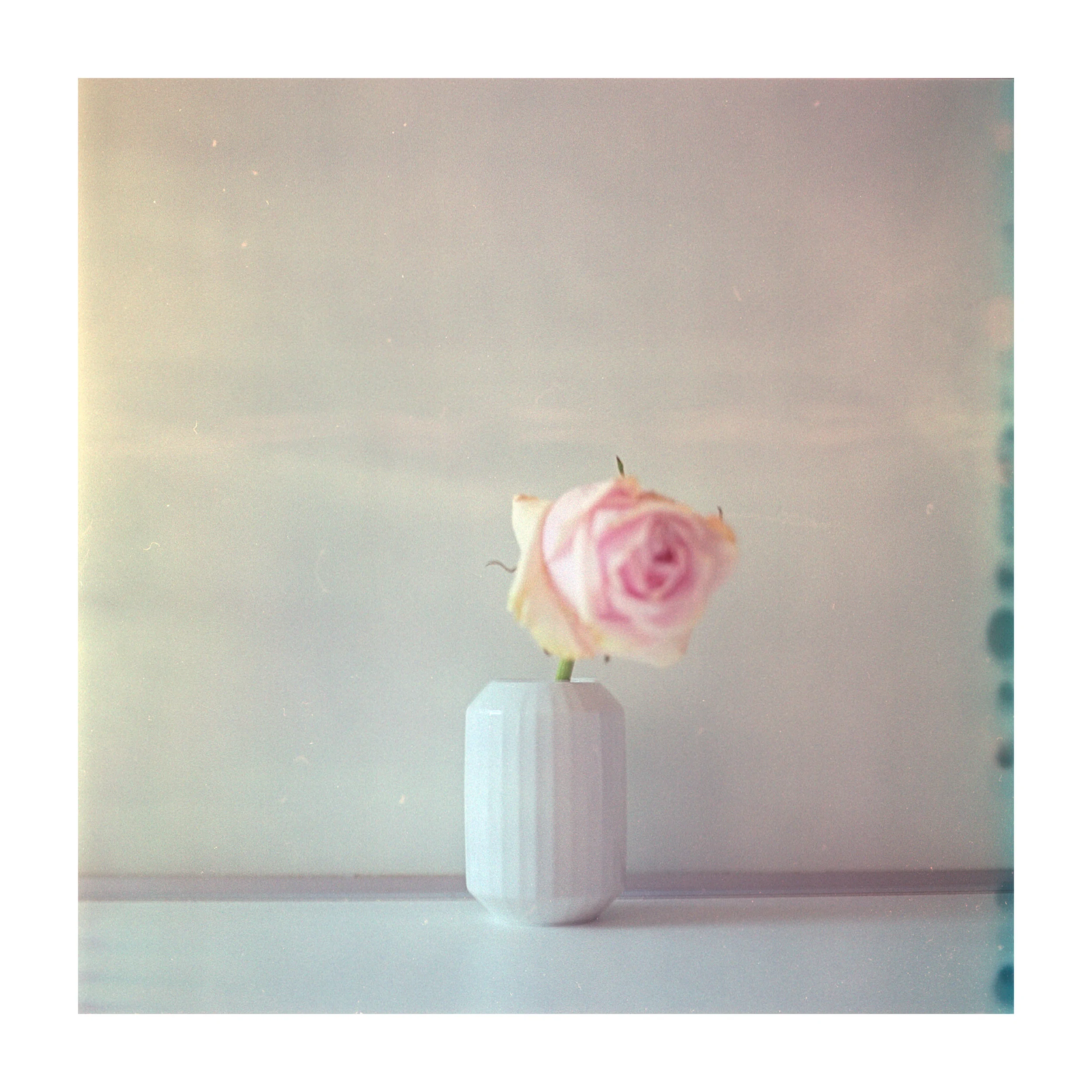 Rosenthal Miniatur 2018 meets Fuji Reala Baujahr 2000