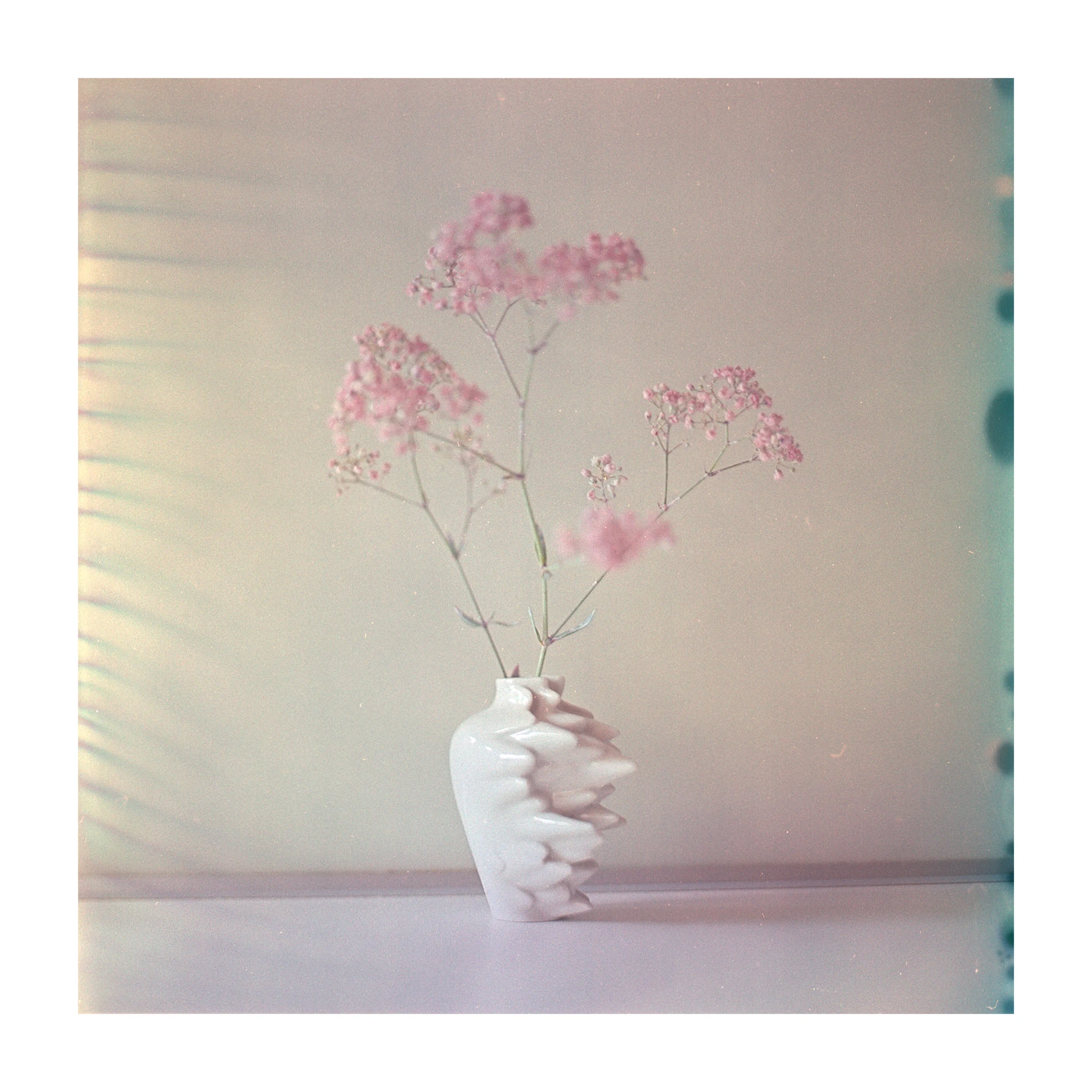 Rosenthal Miniatur 2018 meets Fuji Reala Baujahr 2000