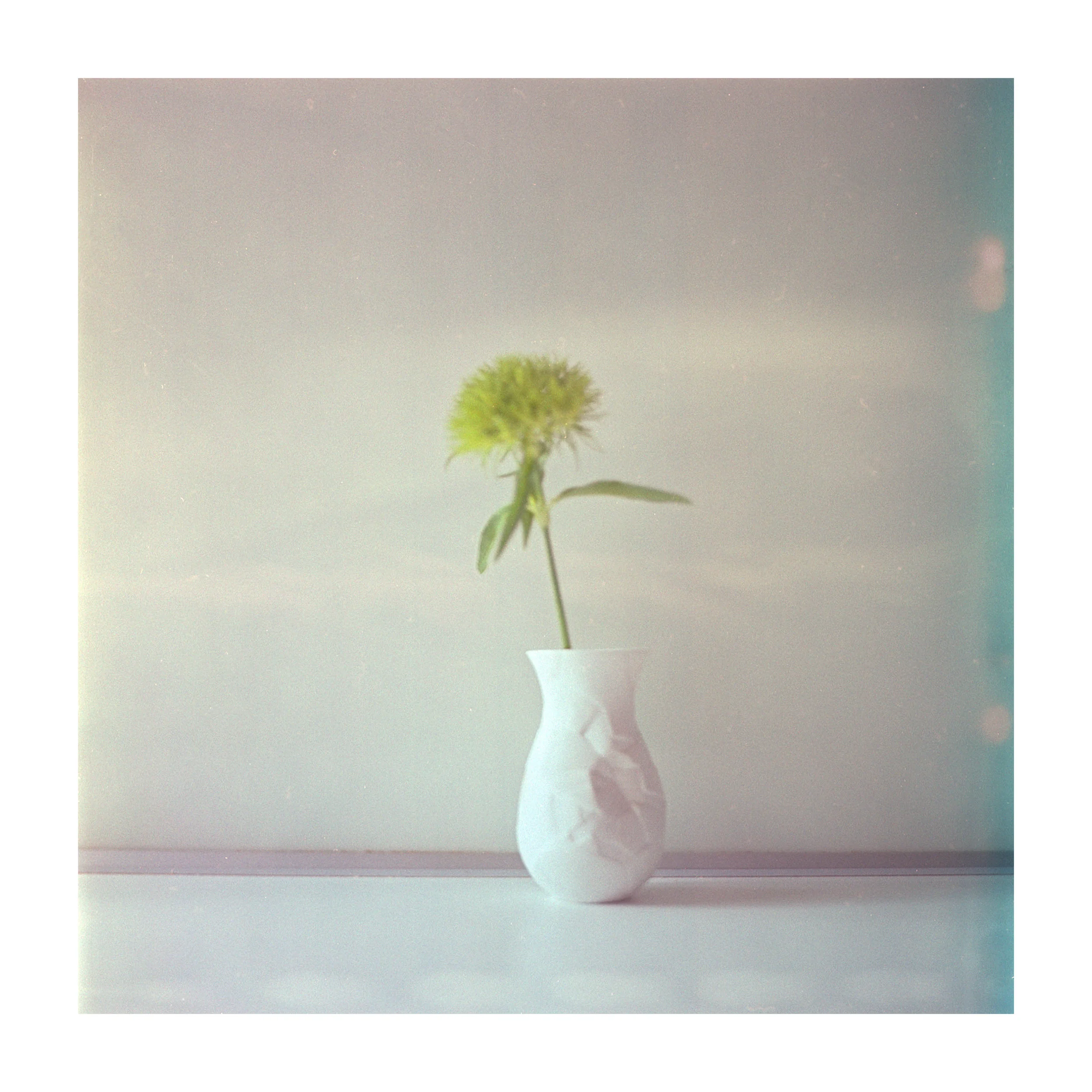 Serien · Rolleiflex SL66 · Fuji Reala (2000) · C41